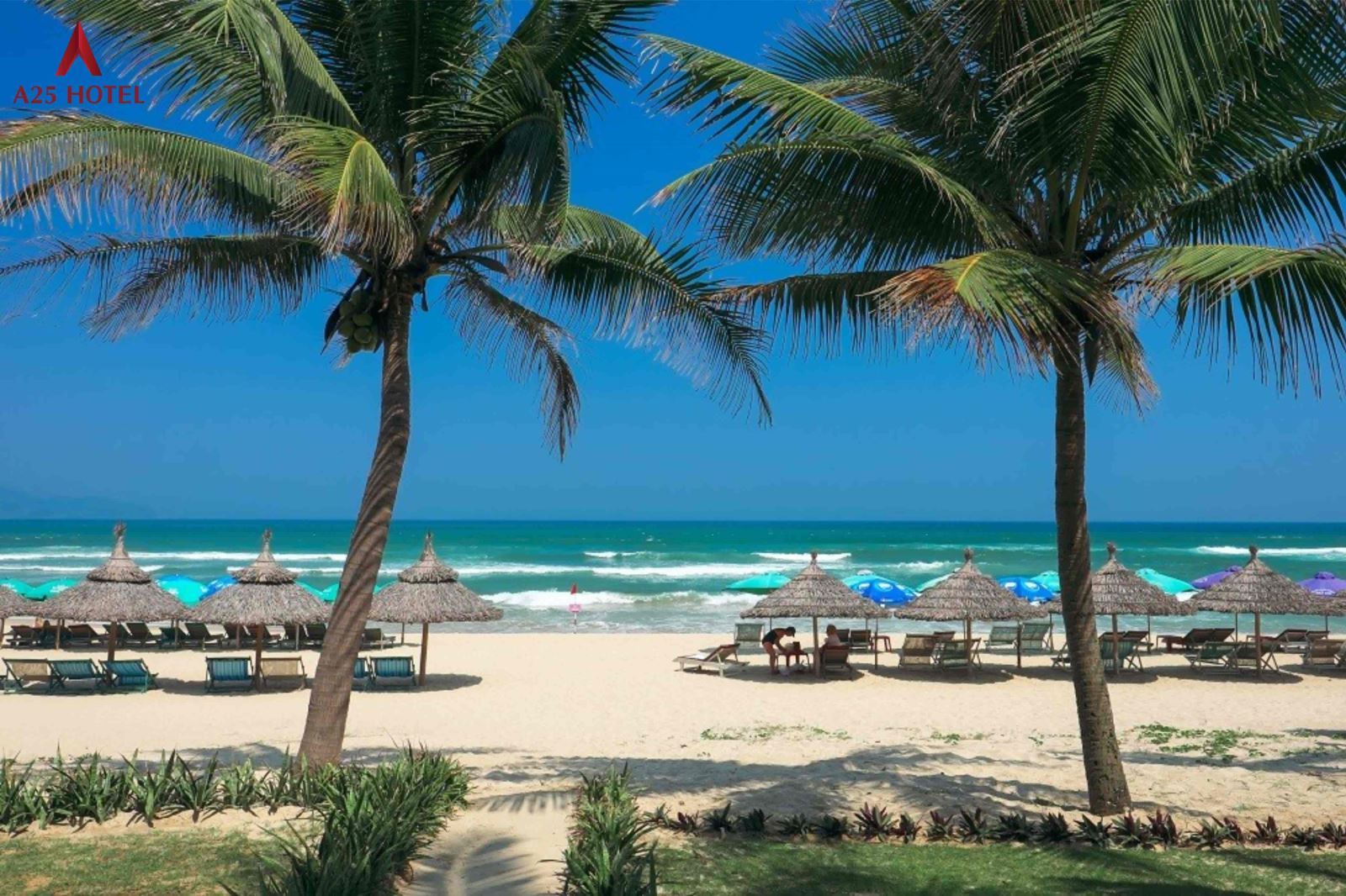 da-nang-diem-den-ly-tuong-cho-chuyen-du-lich-tuyet-voi