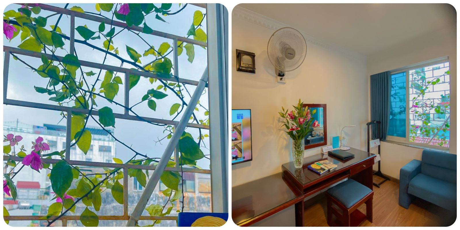 a25-hotel-review-khach-du-lich-do-ve-a25-hotel-61-luong-ngoc-quyen-de-ngam-hoa-giay-mua-thu-tuyet-dep