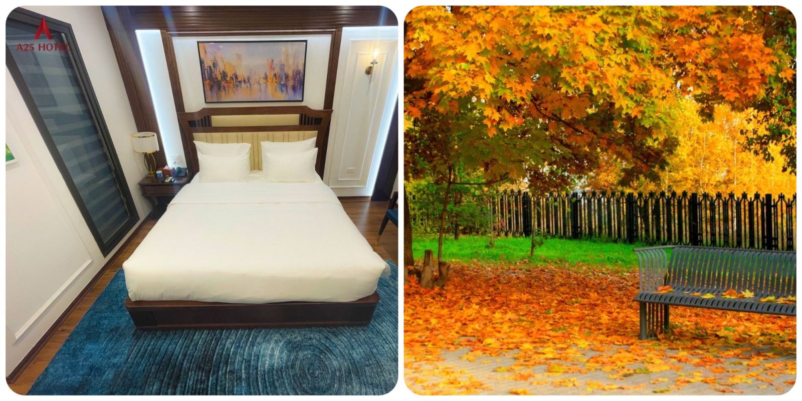 ban-tin-a25-happy-day-nghi-khach-san-sang-nhan-uu-dai-vang-ngay-02-10-2023