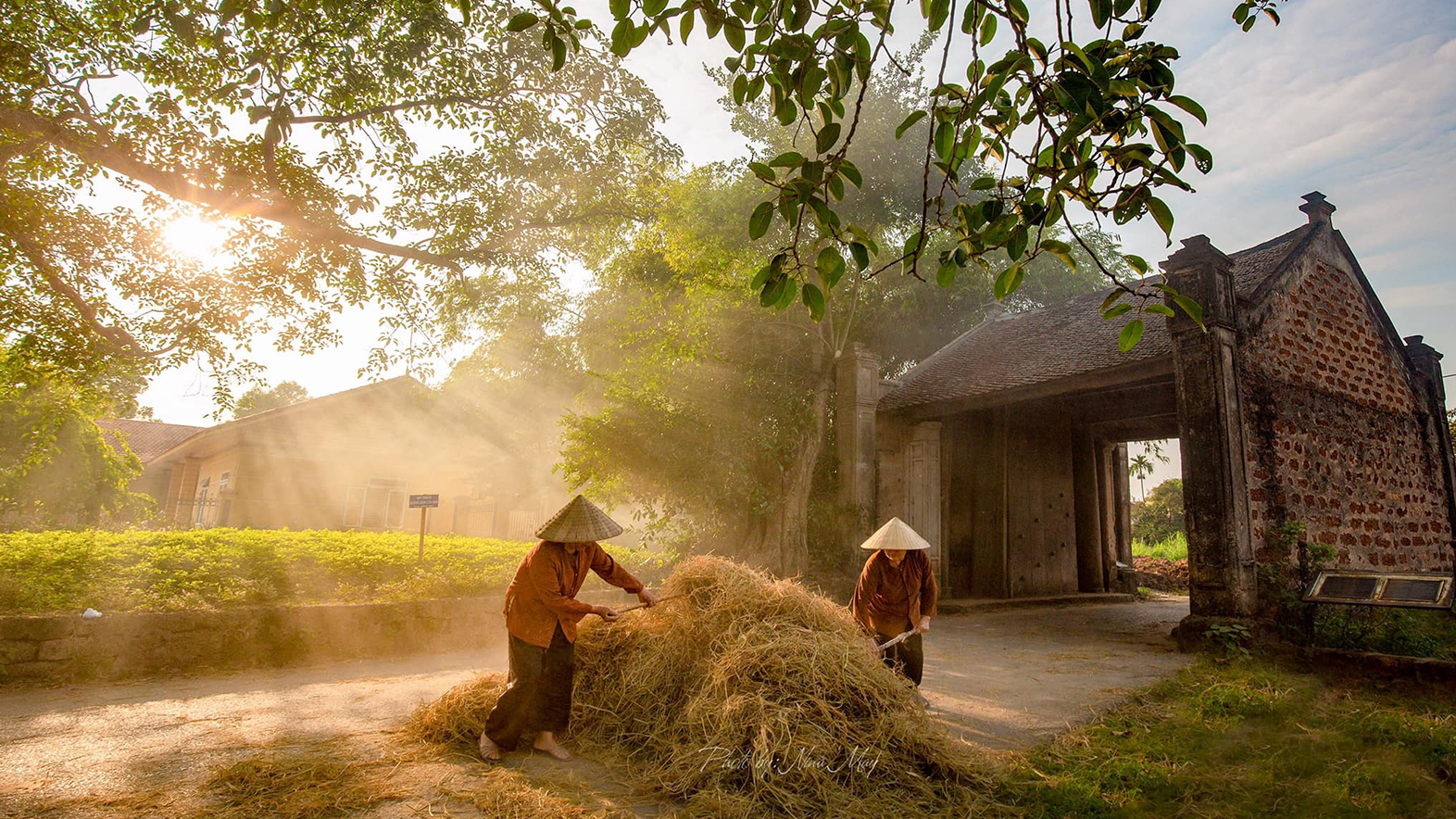 tour-duong-lam-chua-mia-thanh-co-son-tay-chua-khai-nguyen