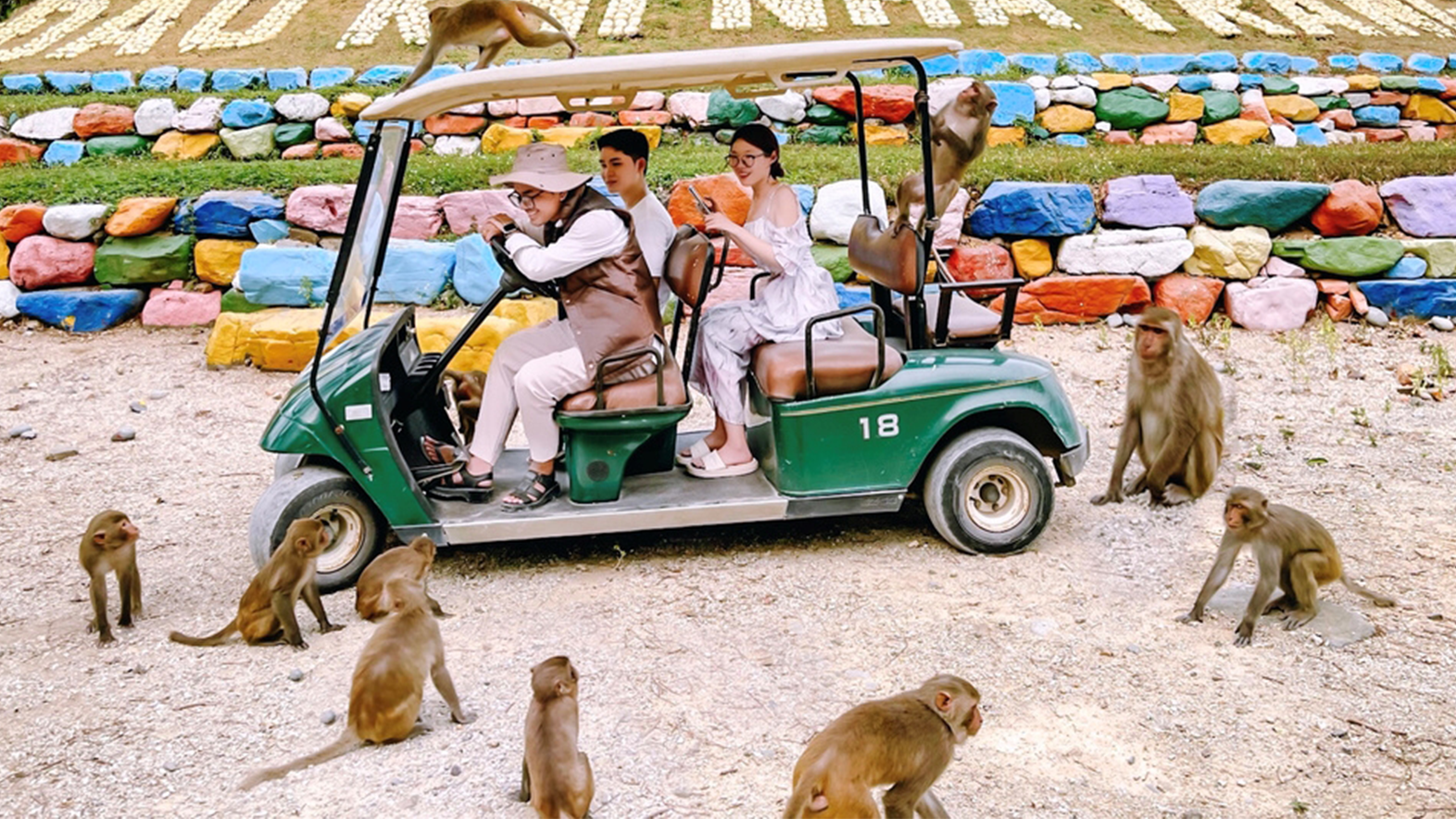 tour-ha-noi-ha-long-lan-ha-dao-khi-cat-ba