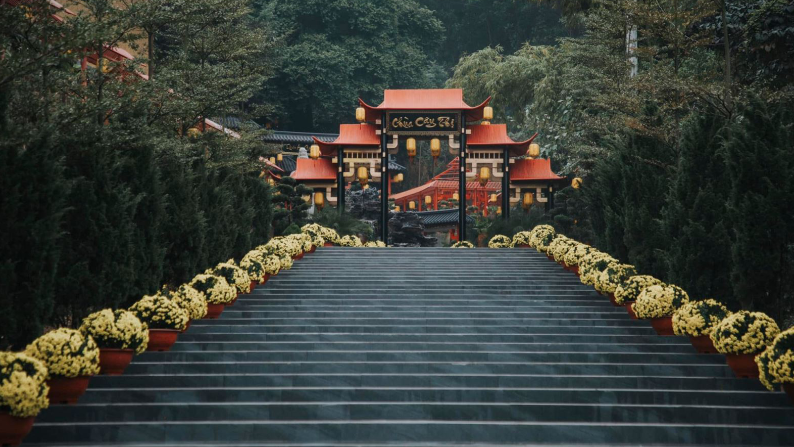 tour-ha-noi-chua-tam-chuc-chua-cay-thi