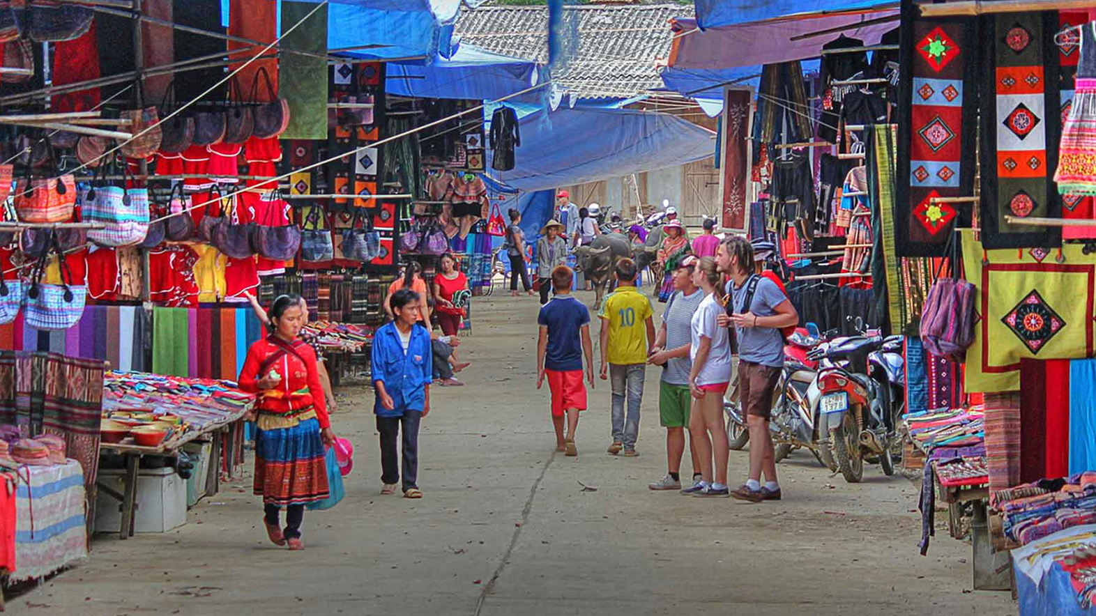 tour-ha-noi-sapa-moana-fansipan-ban-cat-cat-cho-bac-ha