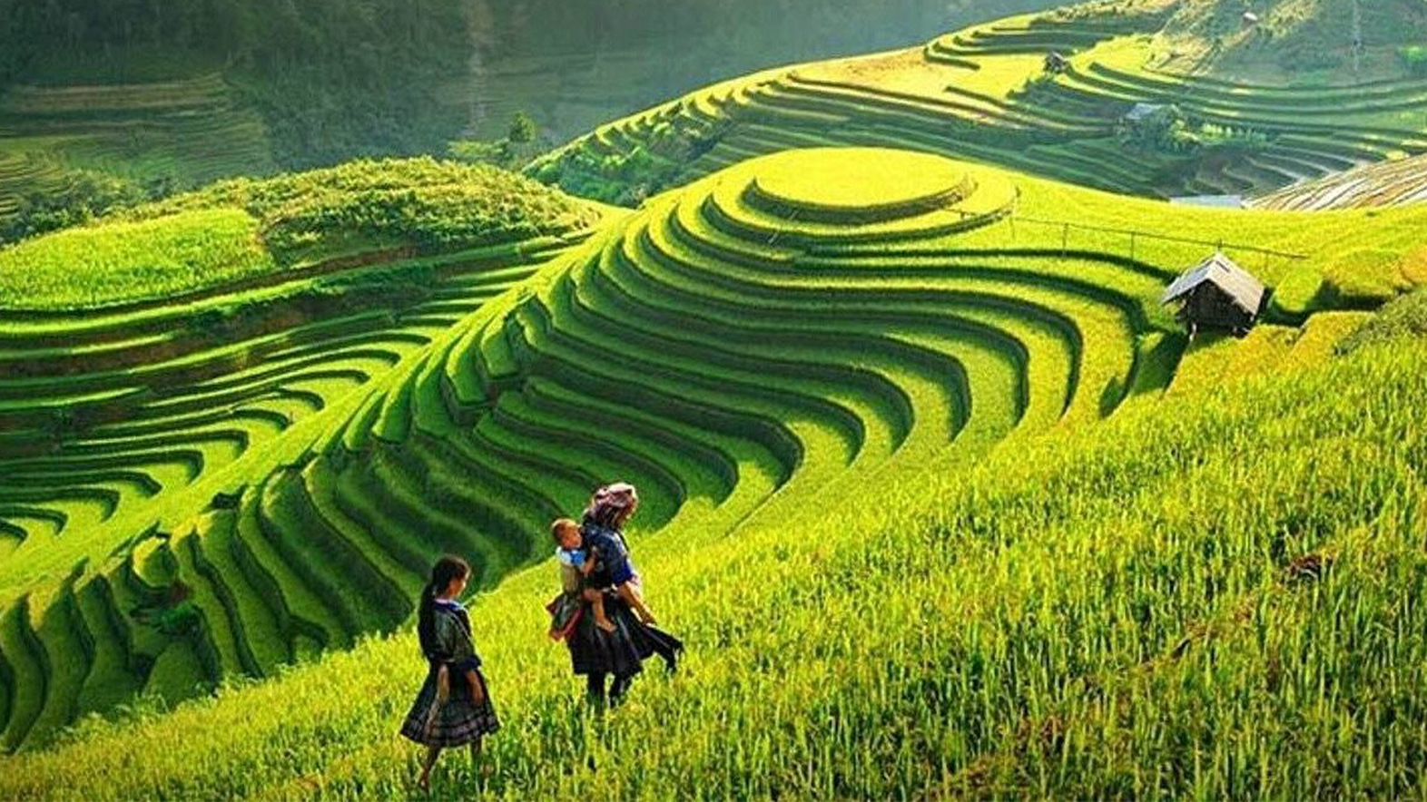 tour-ha-noi-ninh-binh-ha-long-sapa-fansipan